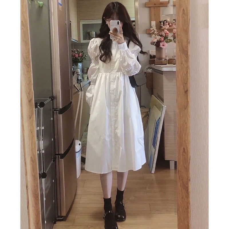Long Sleeve Temperament Dress