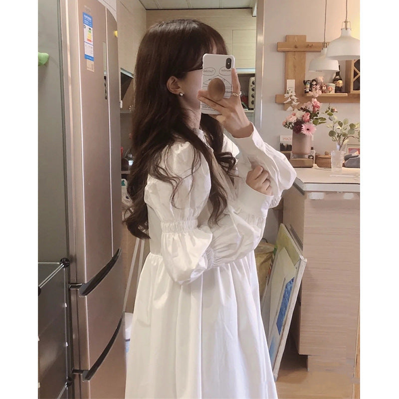 Long Sleeve Temperament Dress