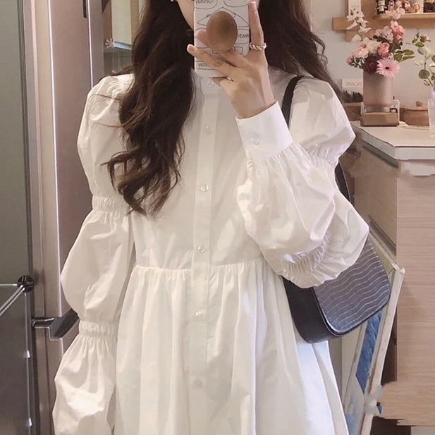 Long Sleeve Temperament Dress