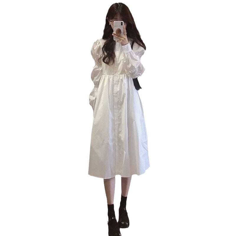 Long Sleeve Temperament Dress
